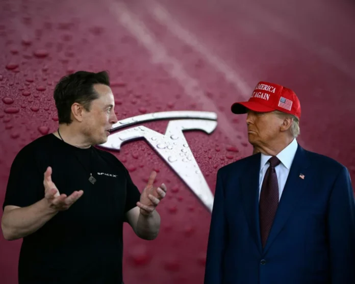 Influence of Elon Musk Over Government