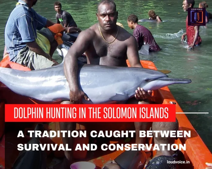 Dolphin Hunting in the Solomon Islands
