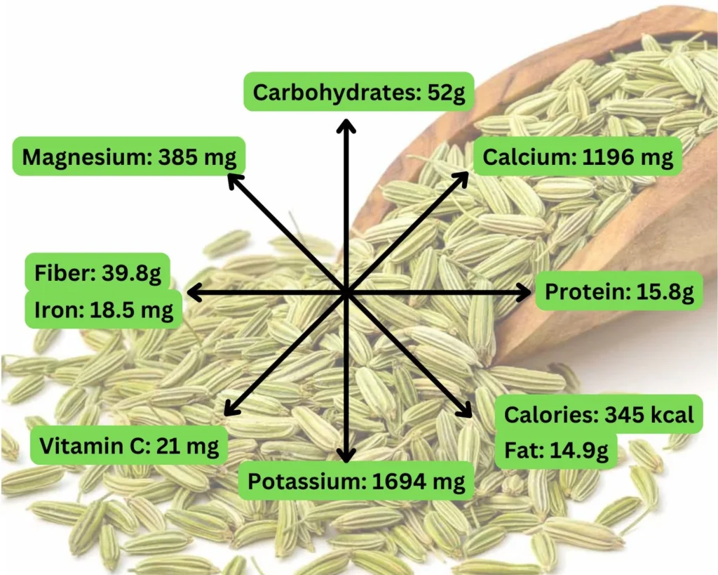 Fennel Seeds: 13 Science-Backed Health Benefits & How to Use Them 1 Fennel seeds composition
