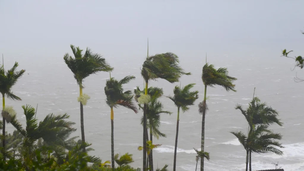 Tropical Cyclone Alfred: Urgent Updates, Travel Disruptions & Safety Measures 1 Tropical Cyclone Alfred Queensland
