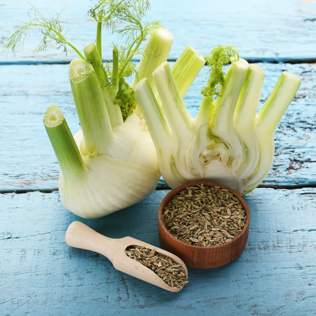 Fennel Seeds: 13 Science-Backed Health Benefits & How to Use Them 3 Fennel Seed