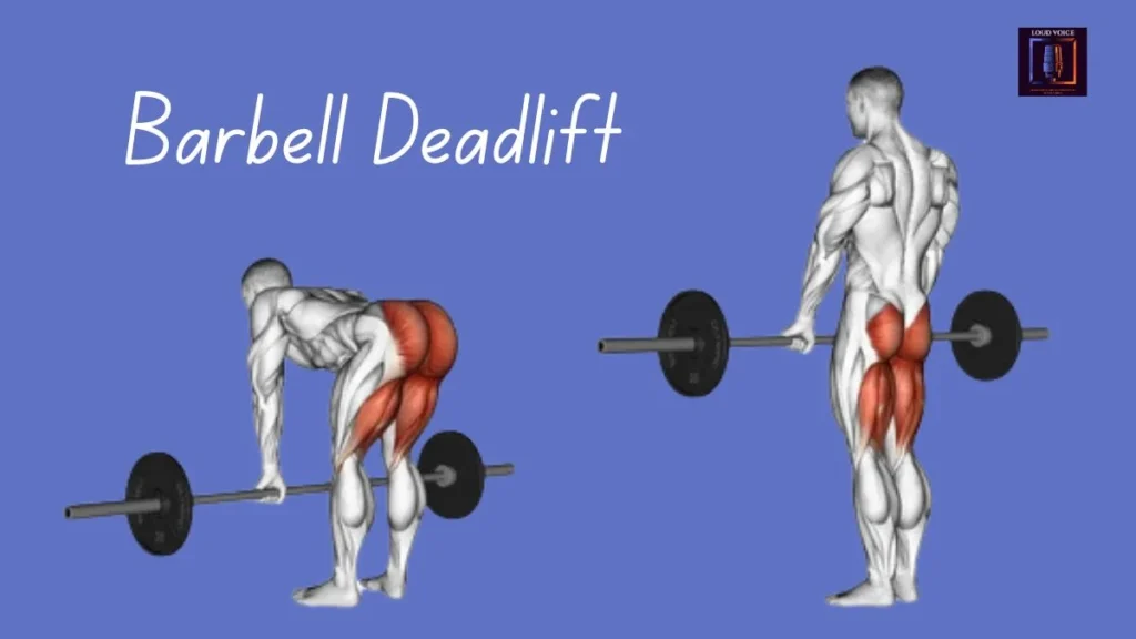 7 Effective Leg Curl Alternatives to Build Stronger, Healthier Legs 3 Barbell Deadlift