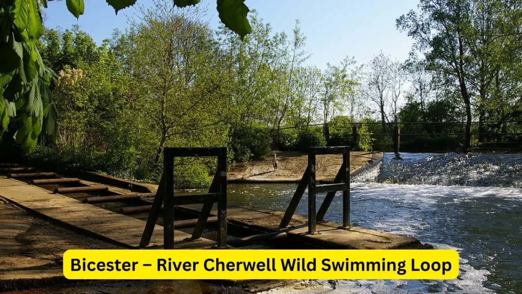 Top 5 Best Cycling Routes Around Oxfordshire According to Experts 2 Bicester – River Cherwell Wild Swimming Loop