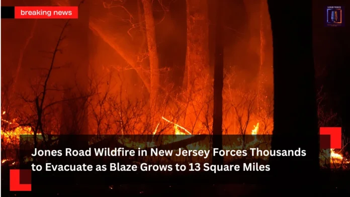 Jones Road Wildfire in New Jersey Jones Road Wildfire in New Jersey