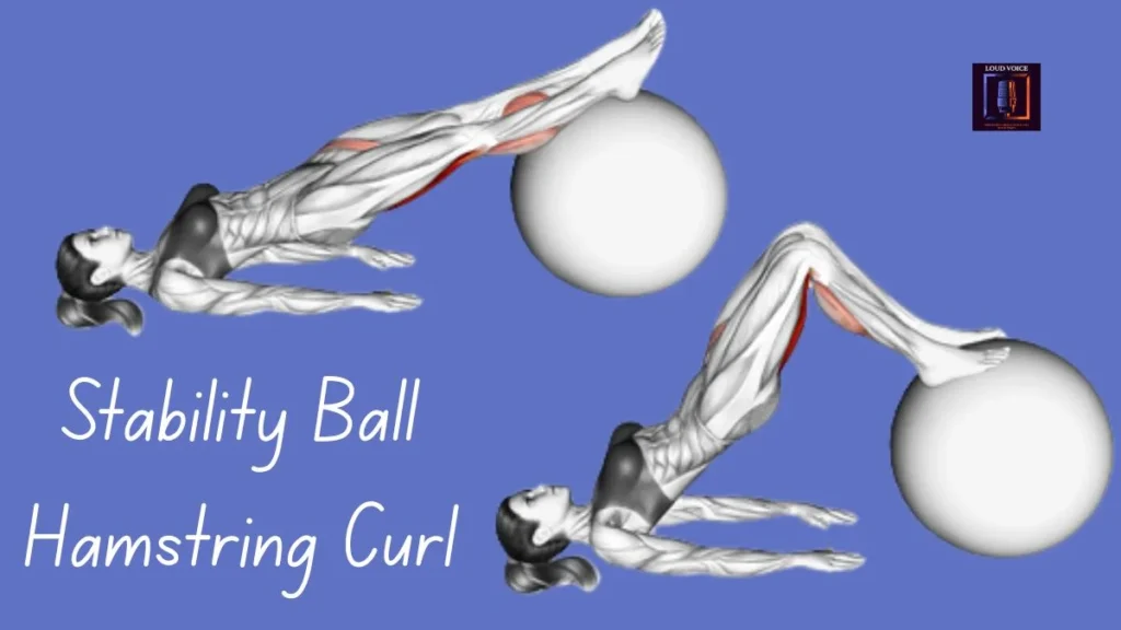 7 Effective Leg Curl Alternatives to Build Stronger, Healthier Legs 5 Stability Ball Hamstring Curl