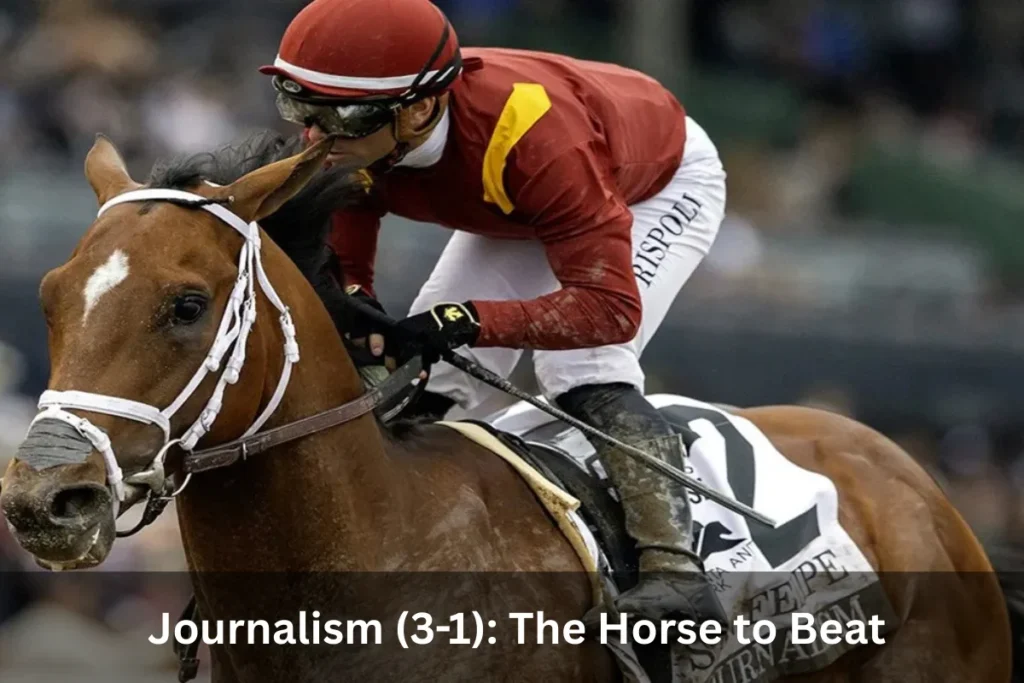 Kentucky Derby 2025: Horses, Odds, and Expert Analysis for the Run for the Roses 1 Journalism