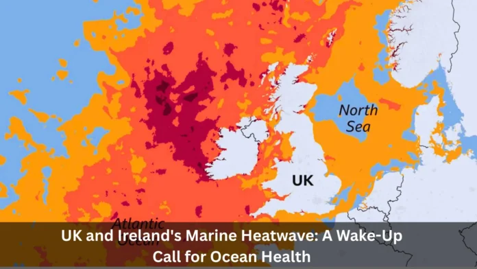 Marine Heatwave Marine Heatwave