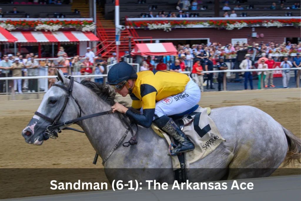Kentucky Derby 2025: Horses, Odds, and Expert Analysis for the Run for the Roses 3 Sandman (6-1)
