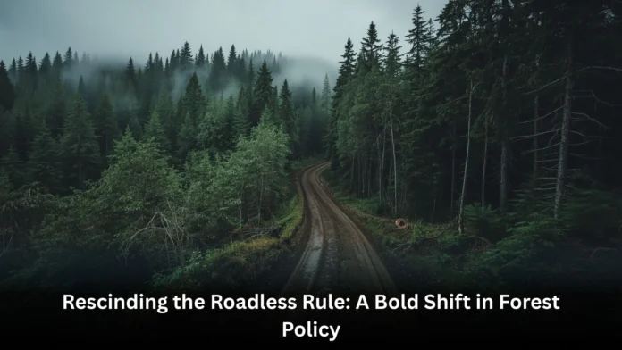 Roadless Rule Roadless Rule