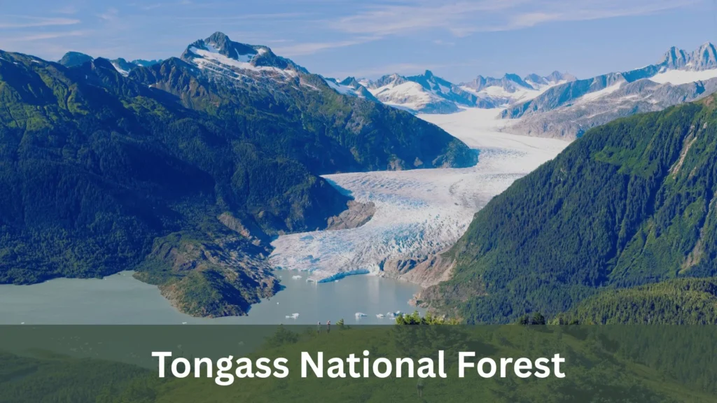 Rescinding the Roadless Rule: A Bold Shift in Forest Policy 1 Tongass National Forest