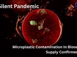 Silent Pandemic: Microplastic Contamination in Blood Supply Confirmed Microplastic Contamination in Blood Supply