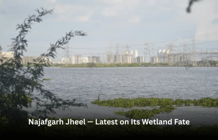 Najafgarh Jheel Najafgarh Jheel